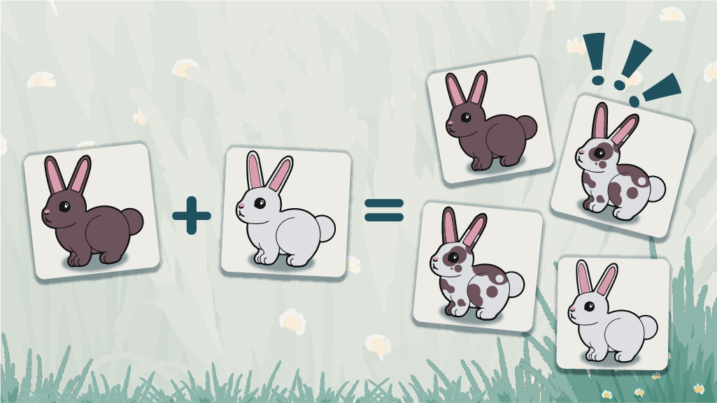 Merge Evolution: Bunny Genes